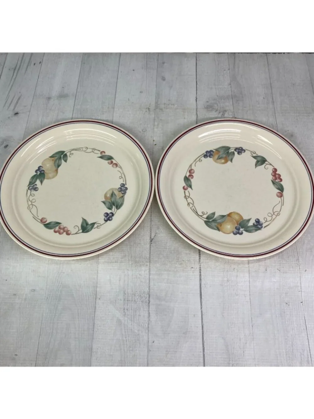 Corelle ABUNDANCE Cornerstone Beige Fruits Blue Maroon Bands Dinner Plates Set 6